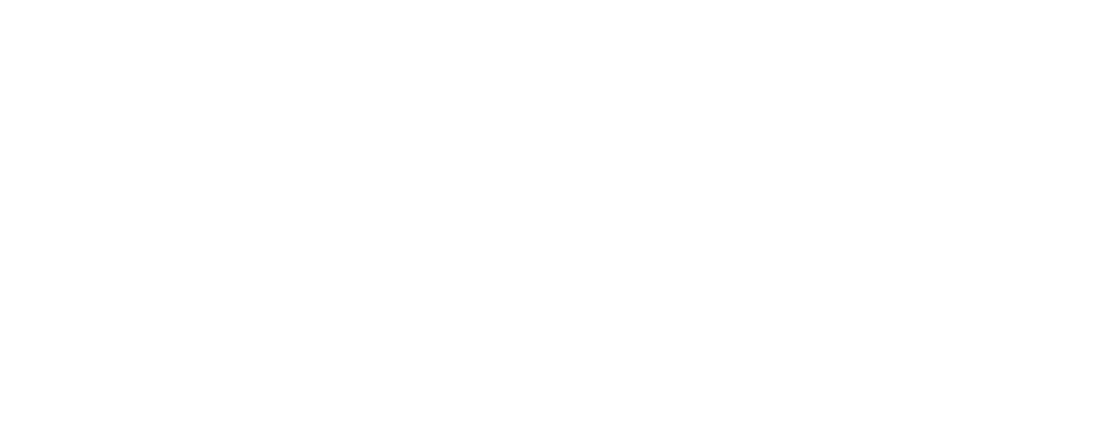 Massimo Guarini